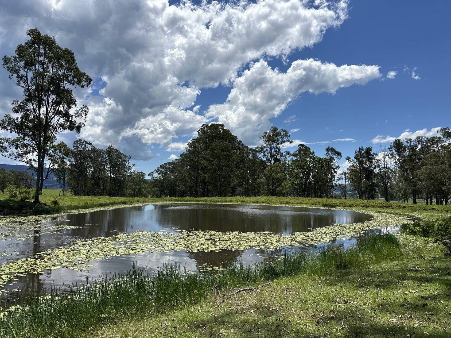 119 Duck Creek Road, Duck Creek - Thumbnail 7