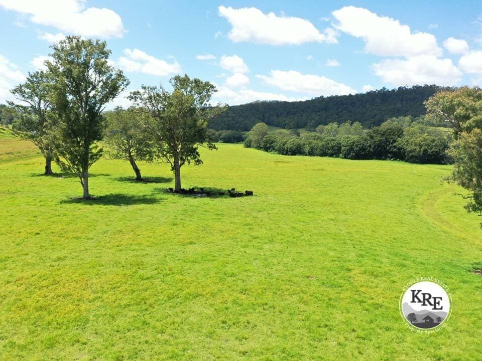 1100 Iron Pot Creek & Ghinni Ghi Roads, Kyogle - Thumbnail 2