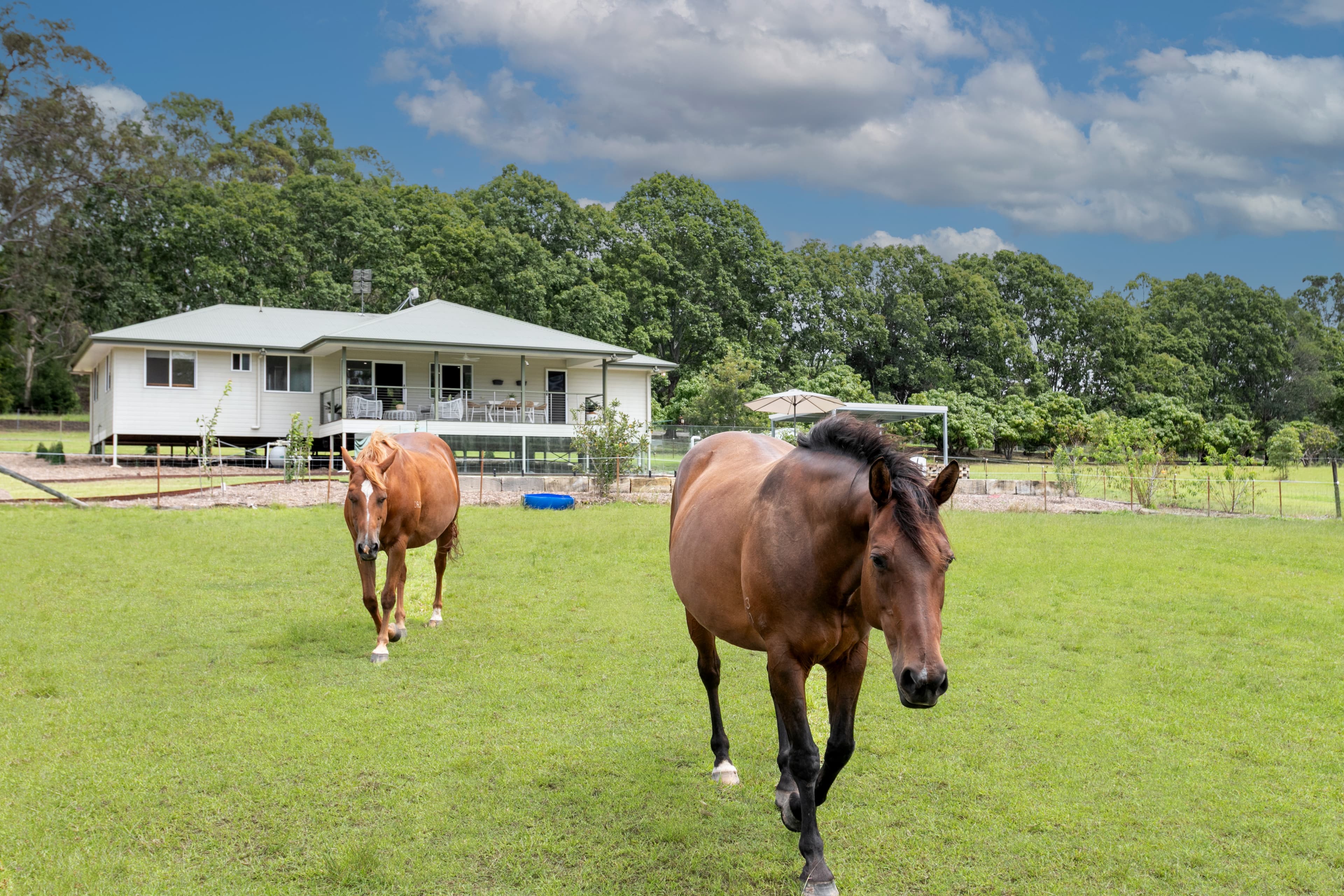 46 Knobby Glen Road KANDANGA QLD 4570, Kandanga - Thumbnail 4