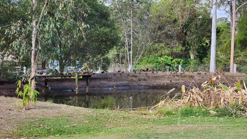 169 Philip Street, Yerra - Thumbnail 3