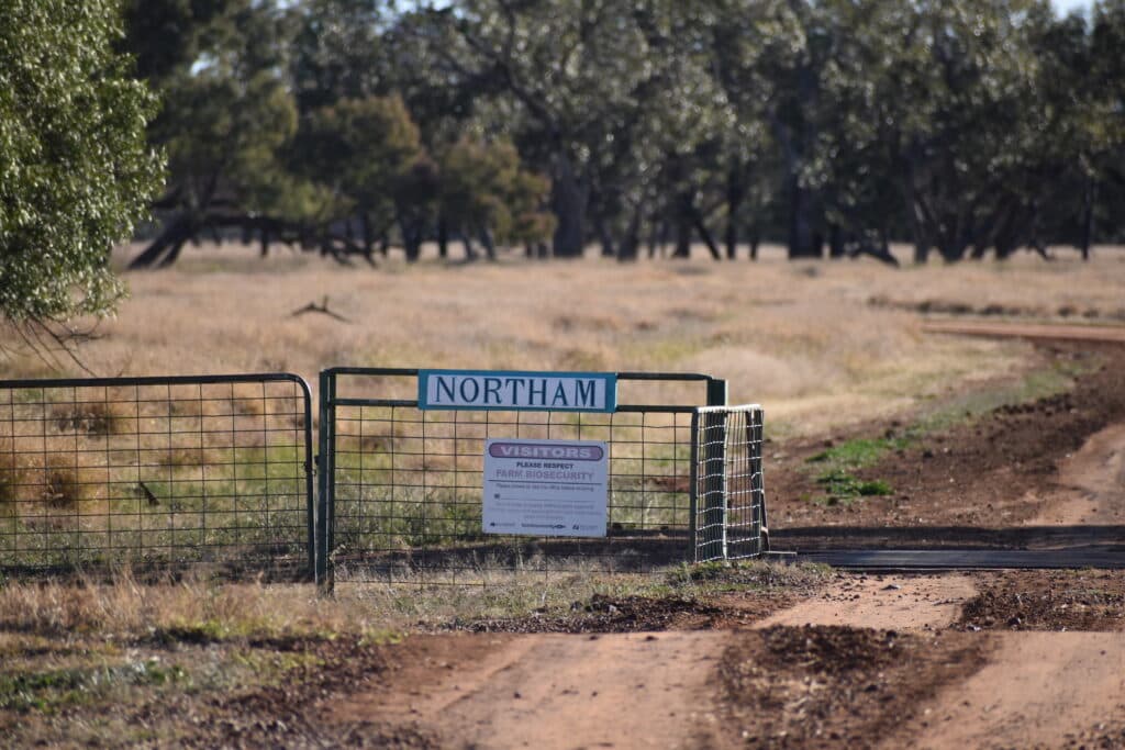 Northam, WYANDRA QLD 4489, Wyandra - Image 1