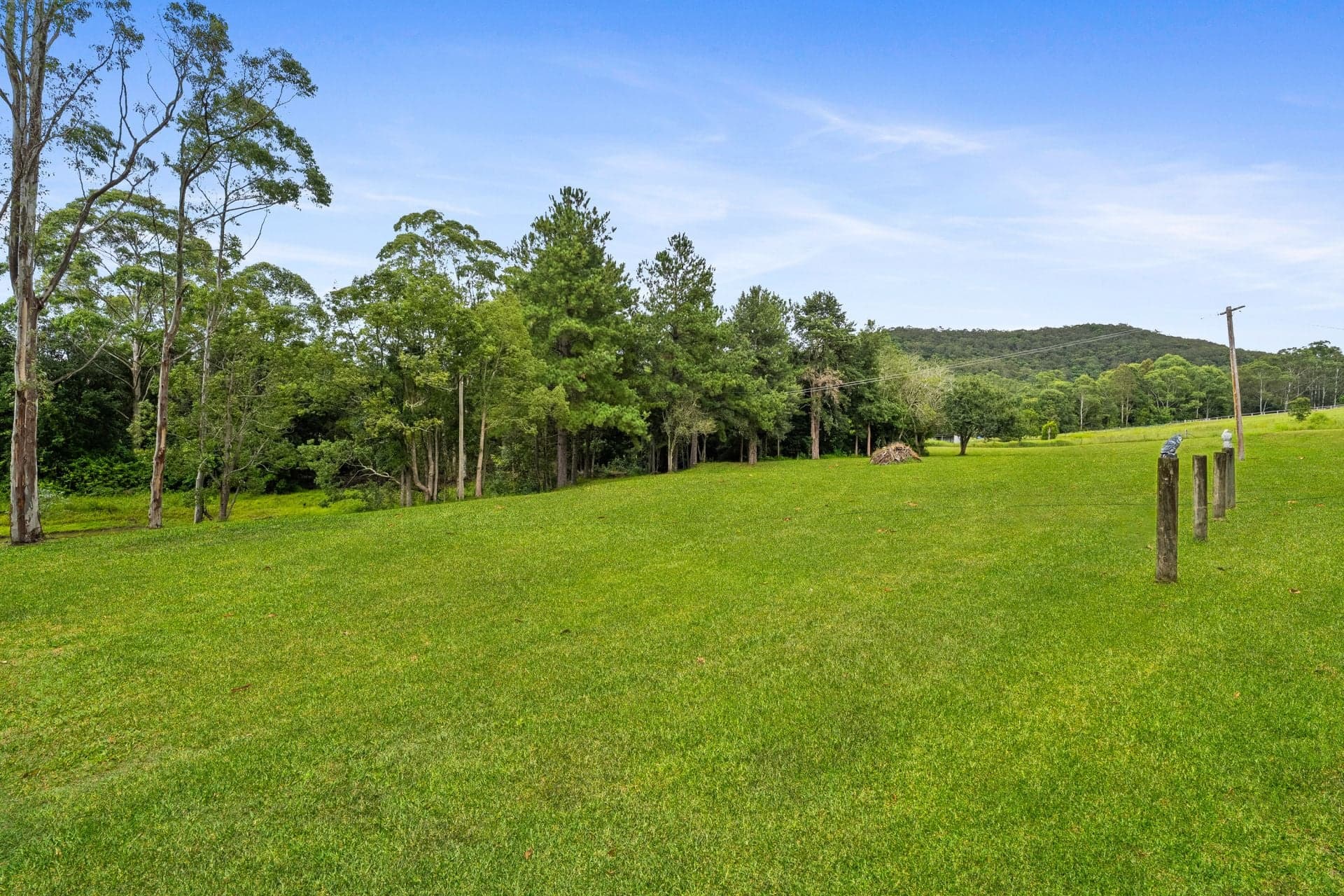 68 Watagan Forest Drive, Jilliby, Jilliby - Thumbnail 6
