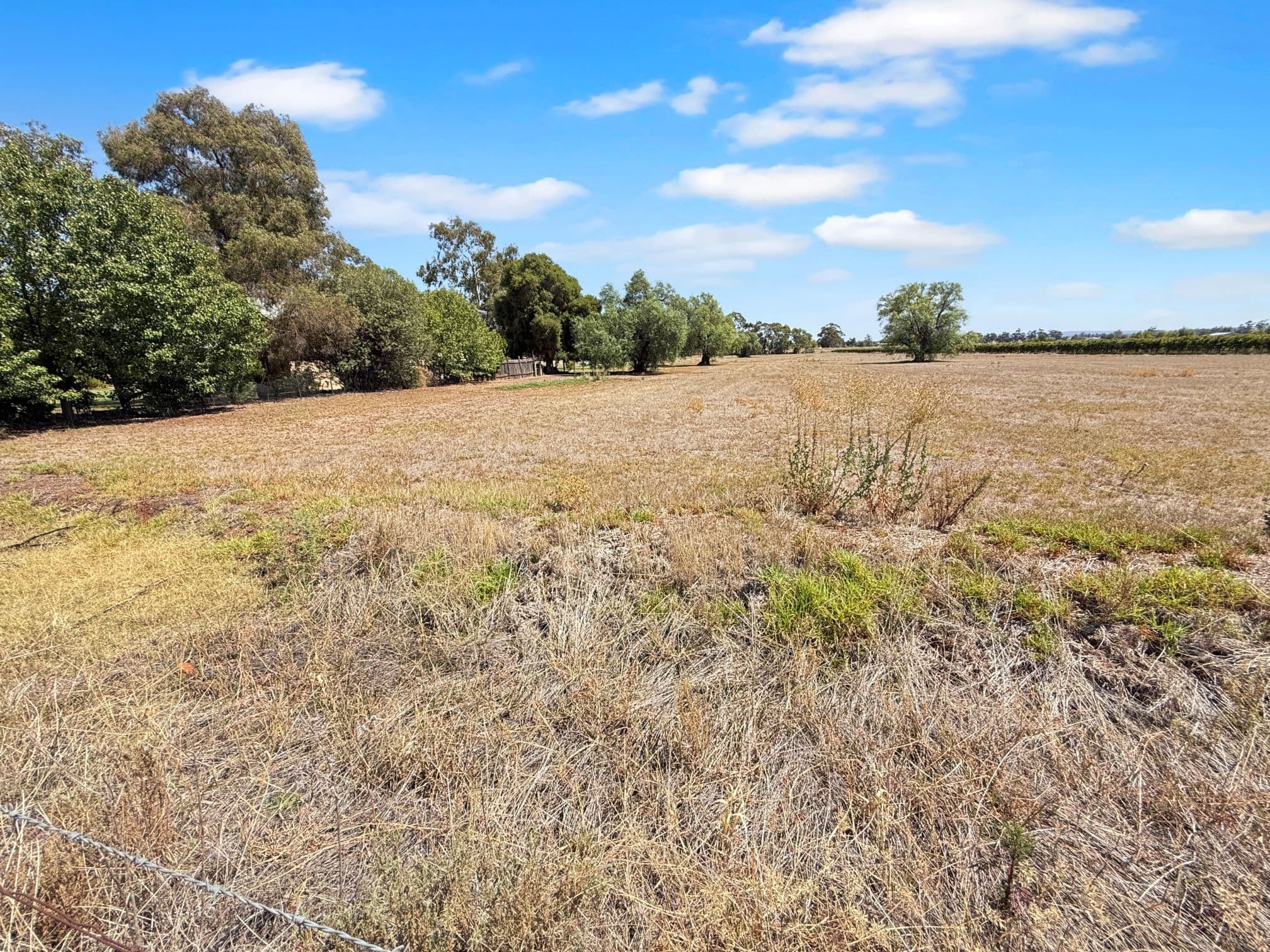 244 Stringer Road, Merungle Hill, Merungle Hill - Thumbnail 4