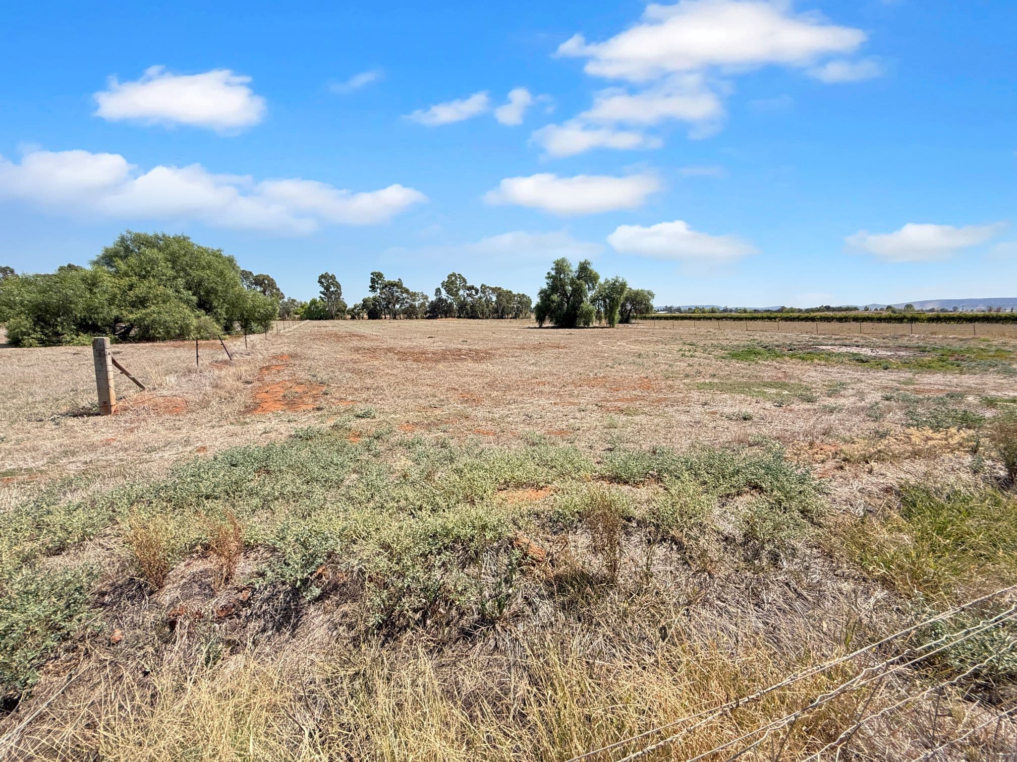 244 Stringer Road, Merungle Hill, Merungle Hill - Thumbnail 5