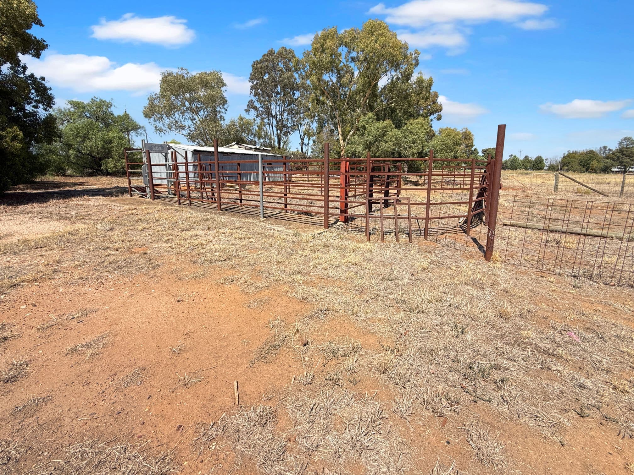244 Stringer Road, Merungle Hill, Merungle Hill - Thumbnail 6