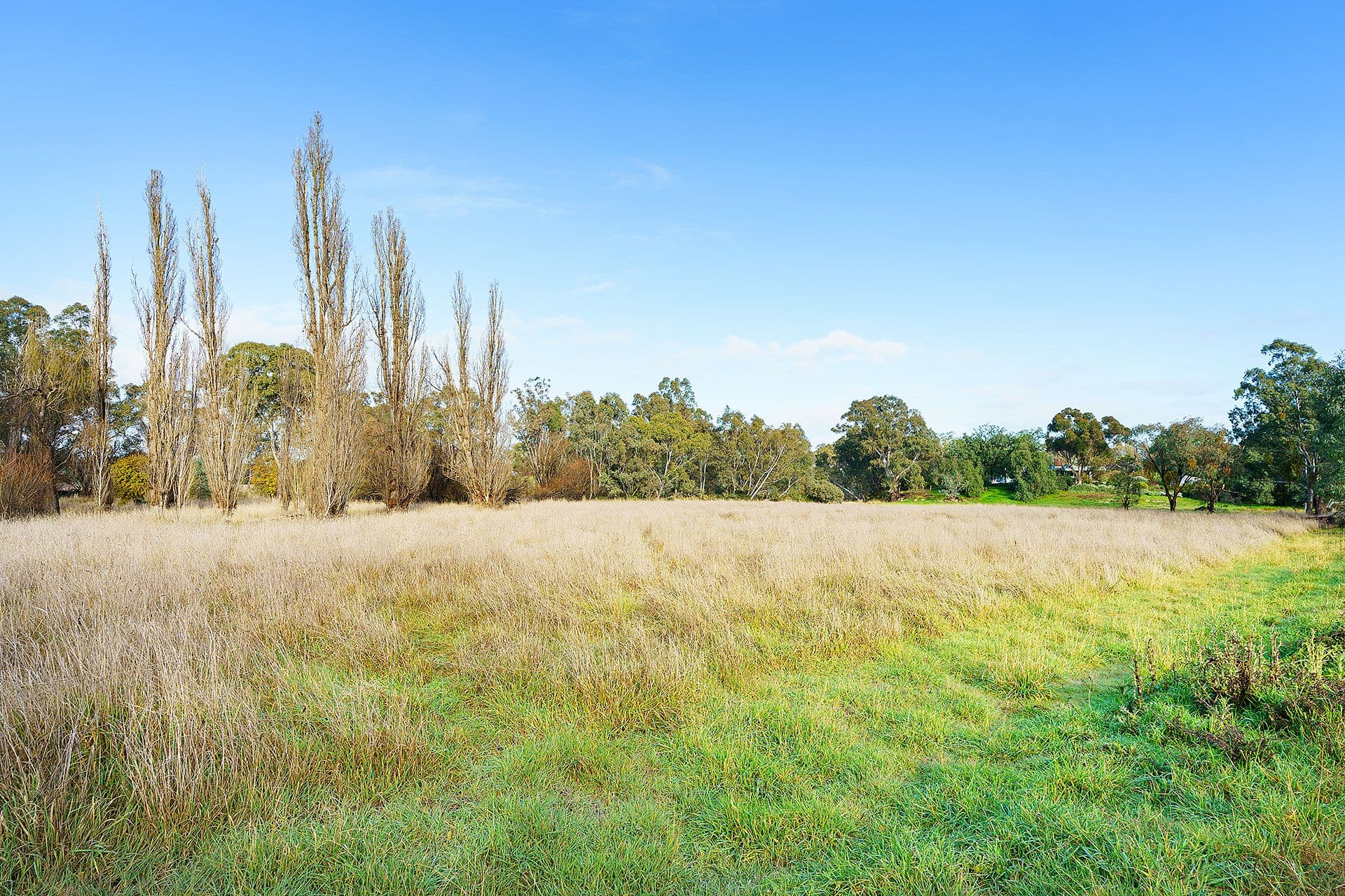 49 Cemetery Road, Newstead - Thumbnail 5