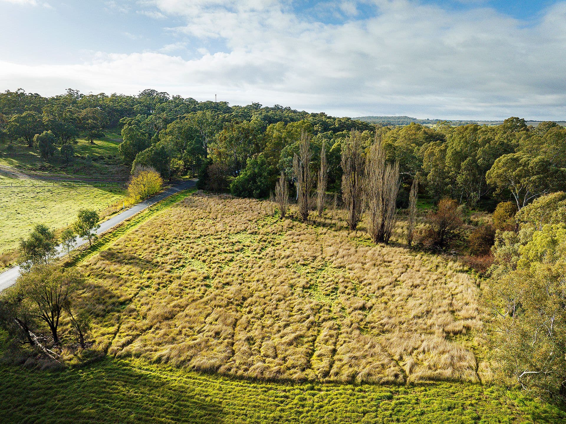 49 Cemetery Road, Newstead - Thumbnail 6