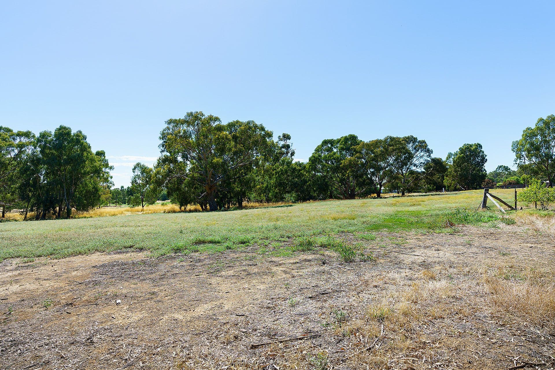 20 Ross Drive, Castlemaine - Thumbnail 4