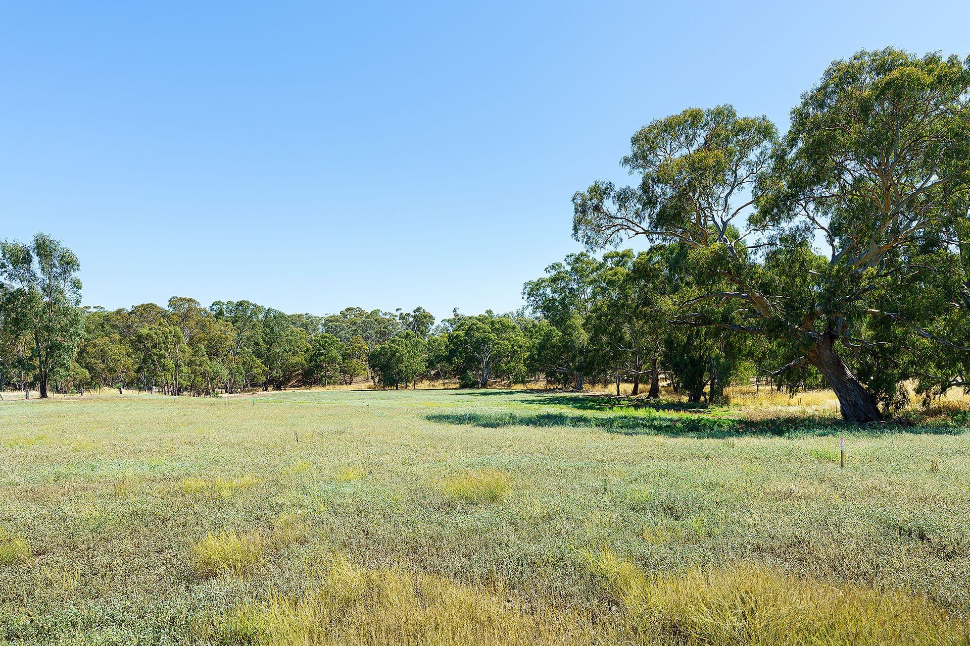 20 Ross Drive, Castlemaine - Thumbnail 6