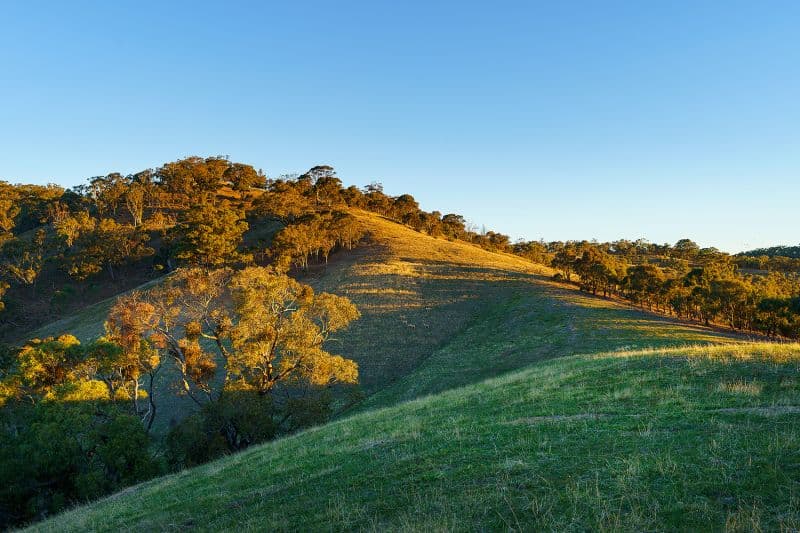 1/223 Nuggetty Road, Maldon - Thumbnail 4