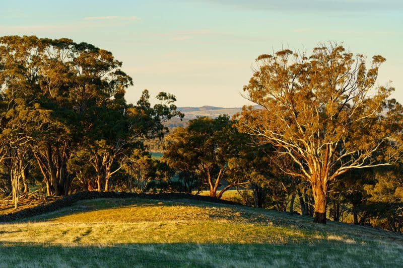 1/223 Nuggetty Road, Maldon - Thumbnail 6