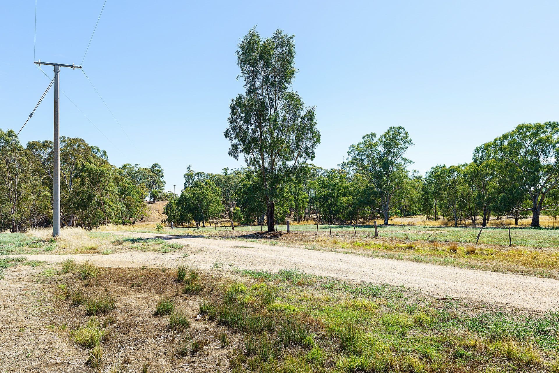 5 Adams Road, Harcourt - Image 1