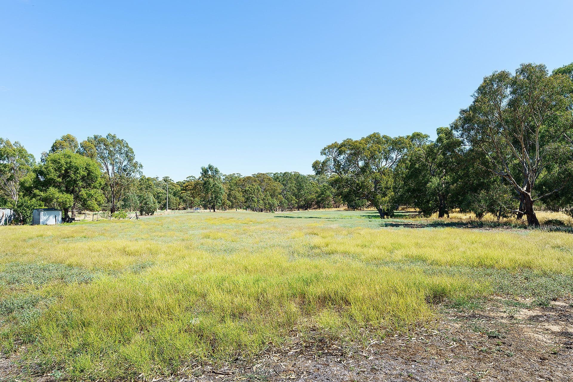 5 Adams Road, Harcourt - Thumbnail 5