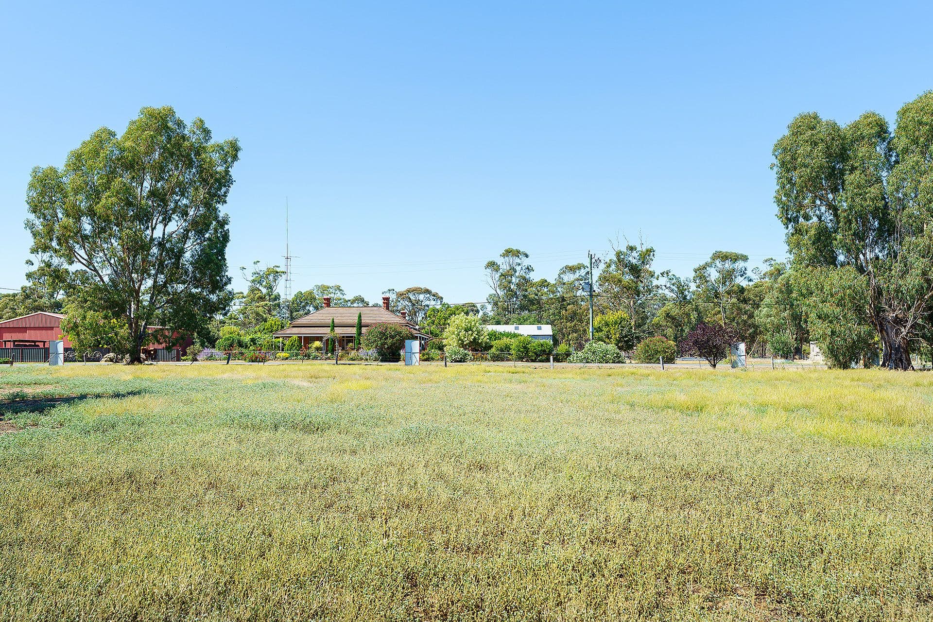 5 Adams Road, Harcourt - Thumbnail 6