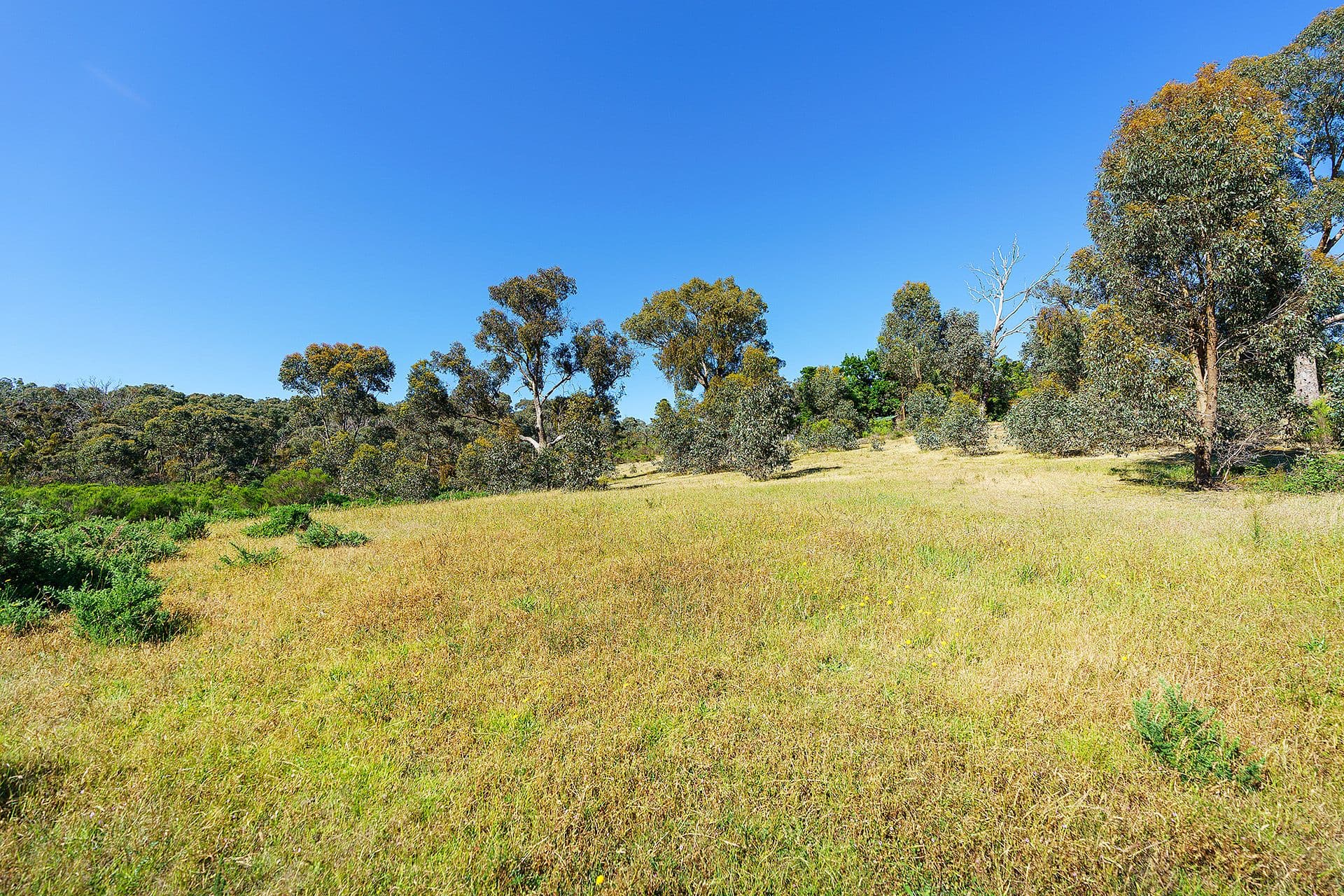 Lot 4, 28 Archers Road, Chewton - Thumbnail 7