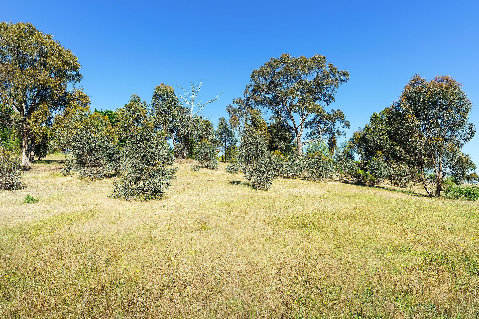 Lot 4, 28 Archers Road, Chewton - Thumbnail 8