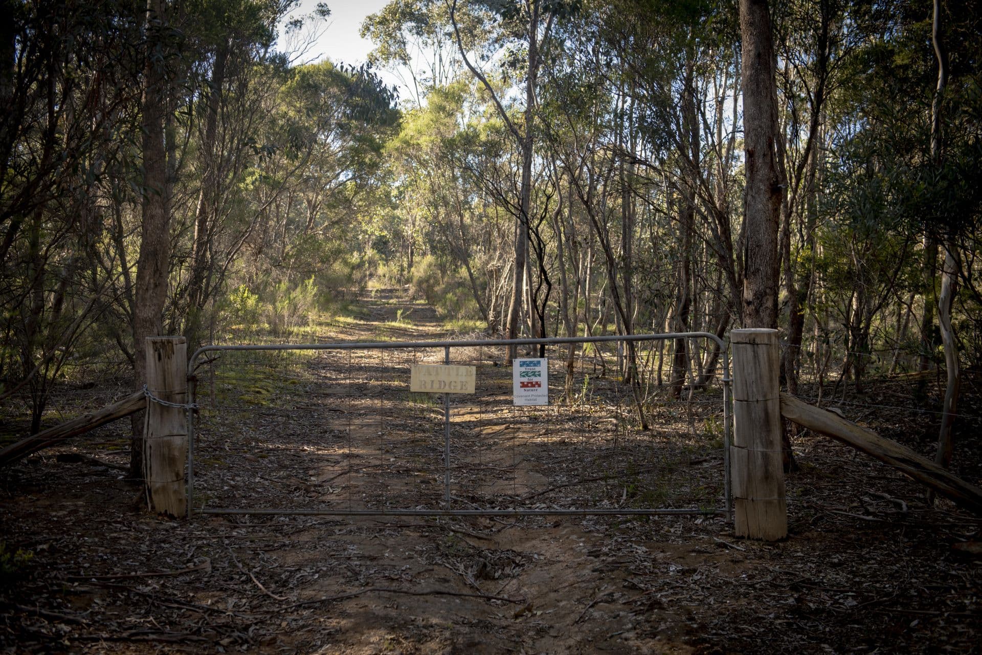 40 Sheldon Track, Fryerstown - Thumbnail 3