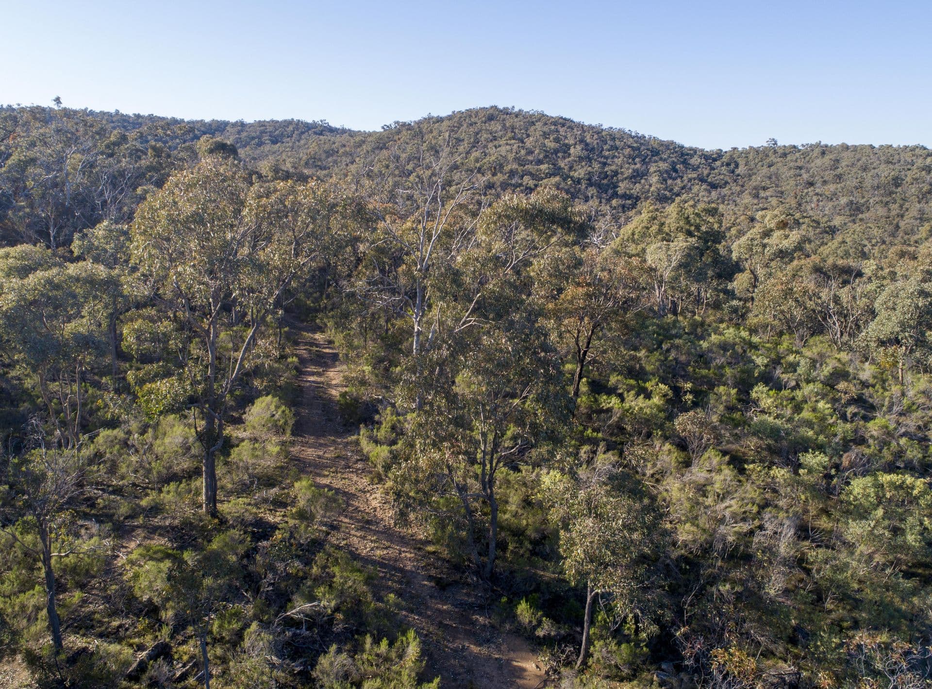 40 Sheldon Track, Fryerstown - Thumbnail 4