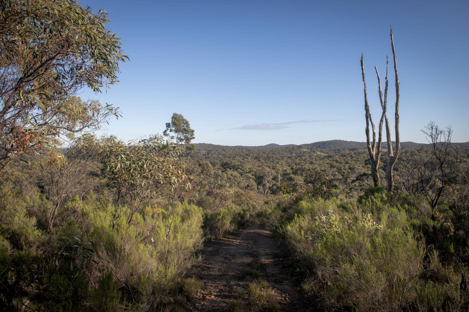40 Sheldon Track, Fryerstown - Thumbnail 5
