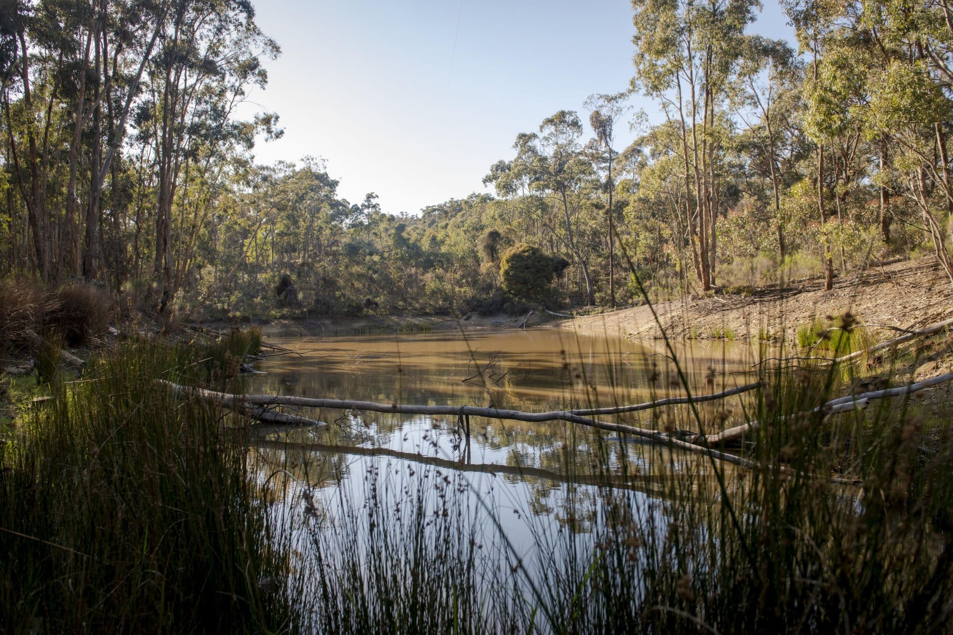 40 Sheldon Track, Fryerstown - Thumbnail 6