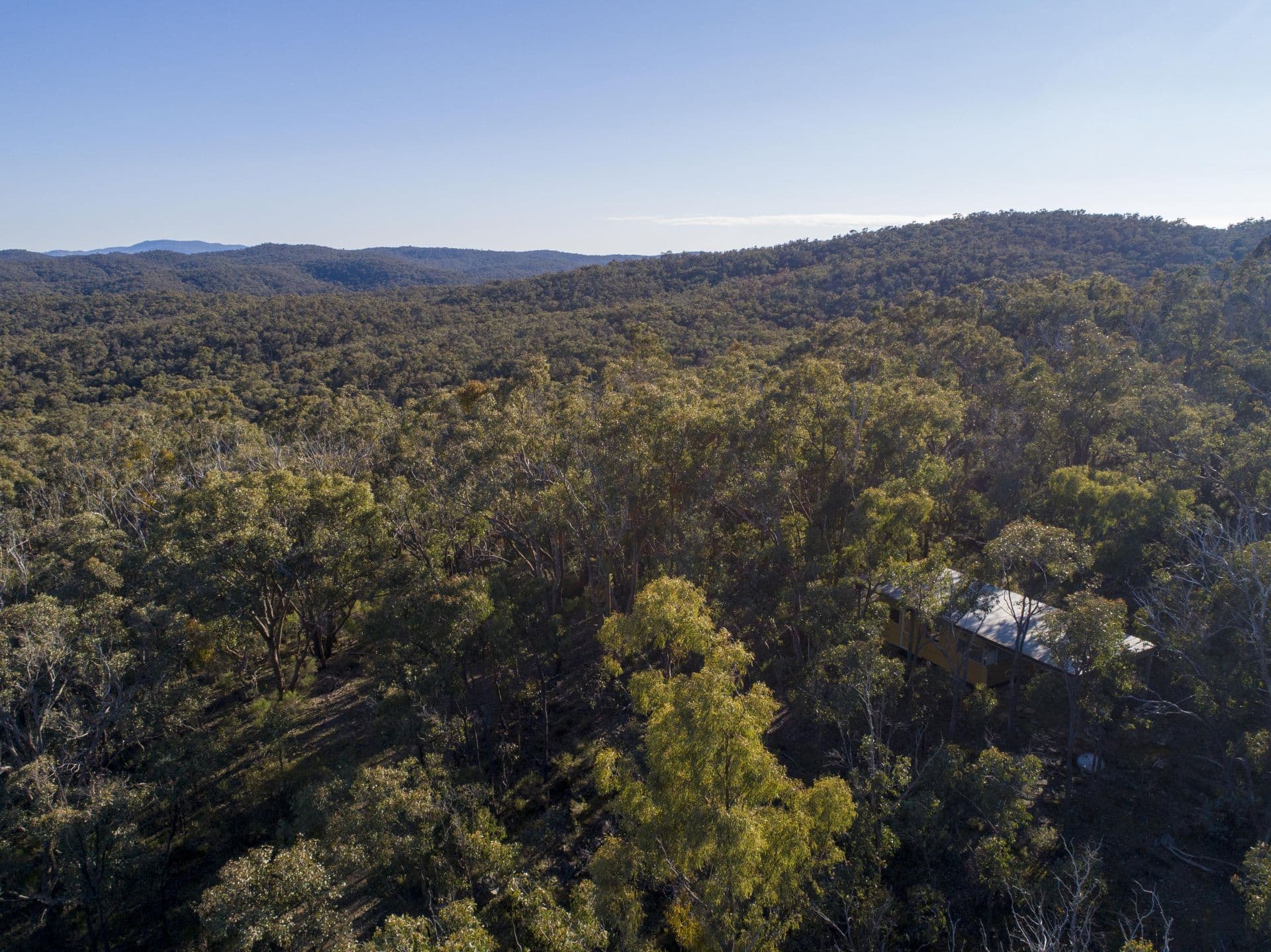 40 Sheldon Track, Fryerstown - Thumbnail 7