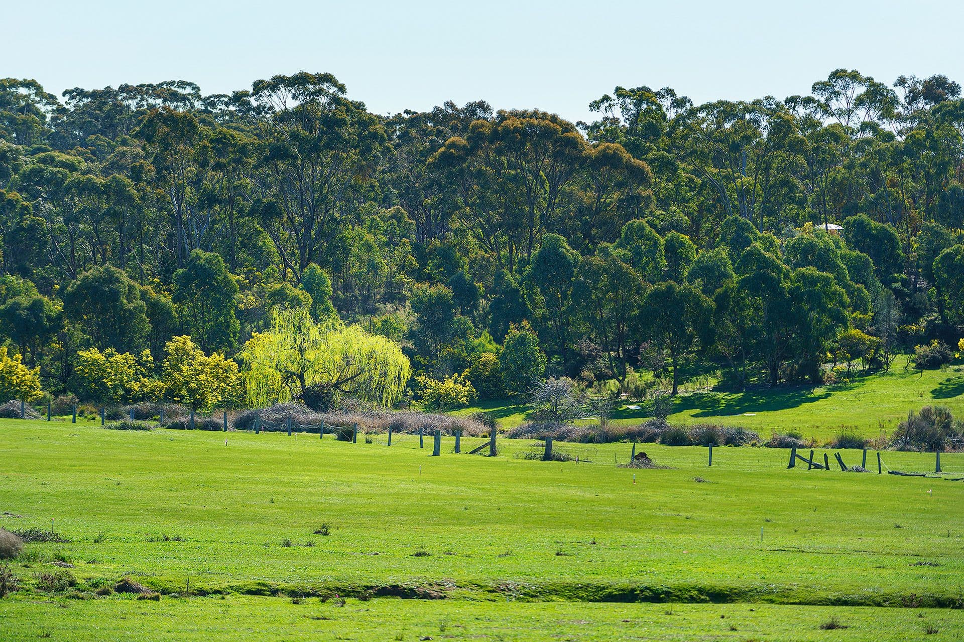 118/ Diamond Gully Road Muckleford, Road Muckleford - Thumbnail 7