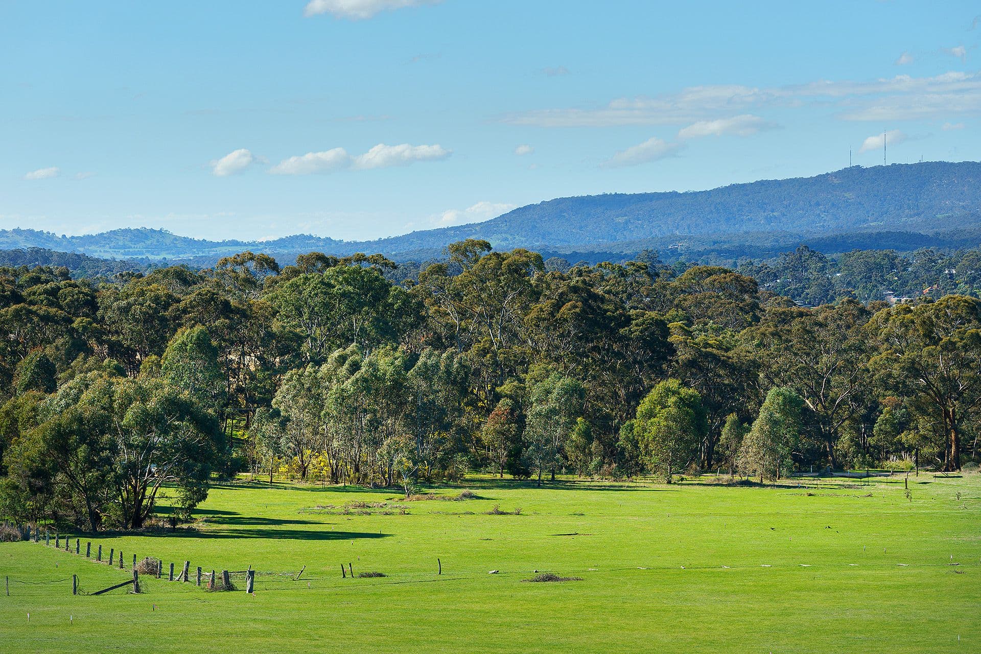 118/ Diamond Gully Road Muckleford, Road Muckleford - Thumbnail 8