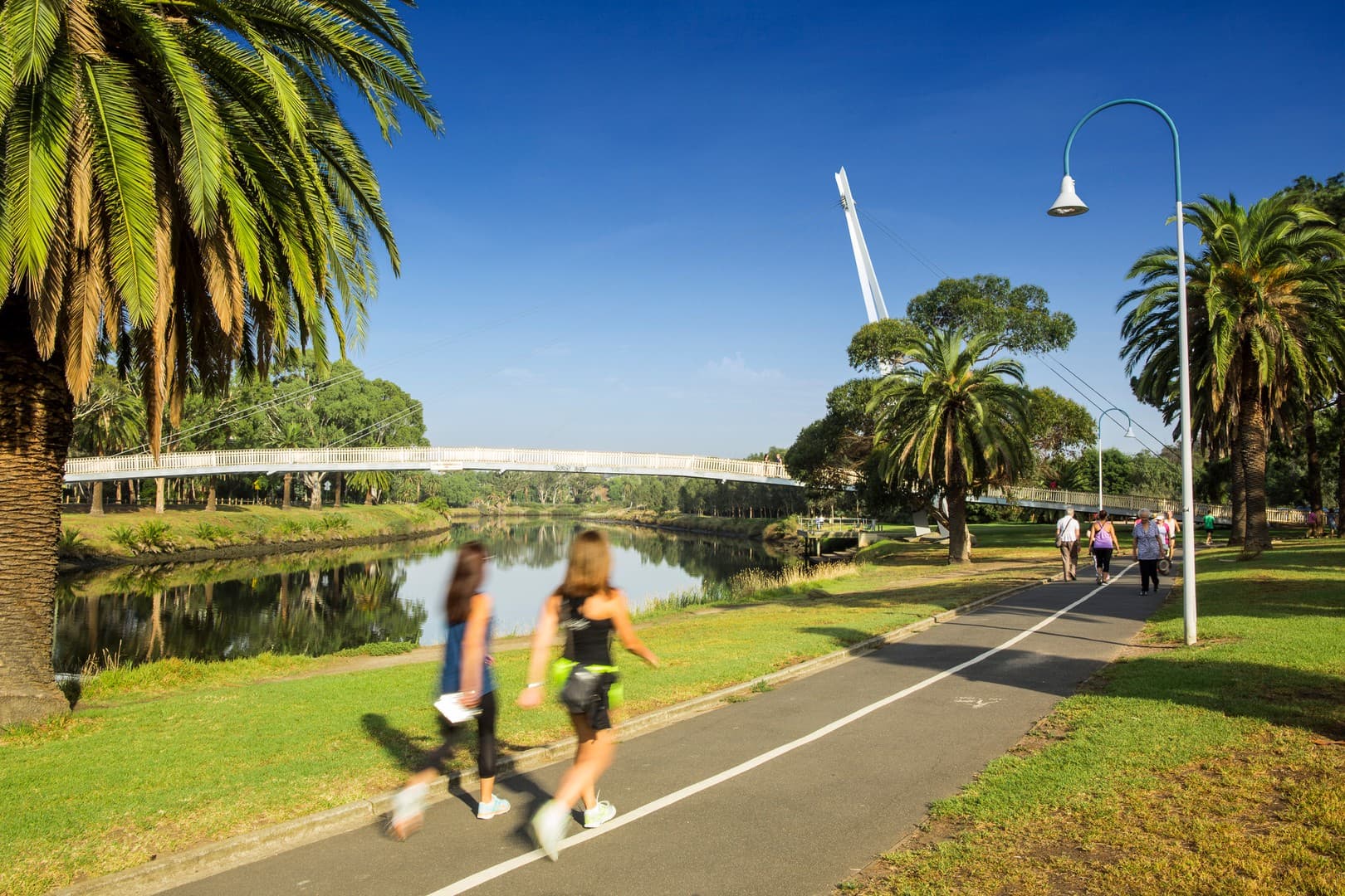 11 Hudson Street, Moonee Ponds, VIC 3039, Moonee Ponds - Thumbnail 3