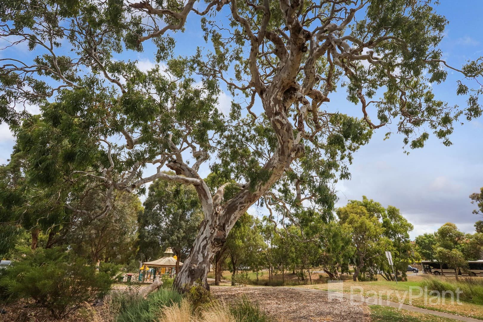 20 Annadale Mews, Greenvale, VIC 3059, Greenvale - Thumbnail 8