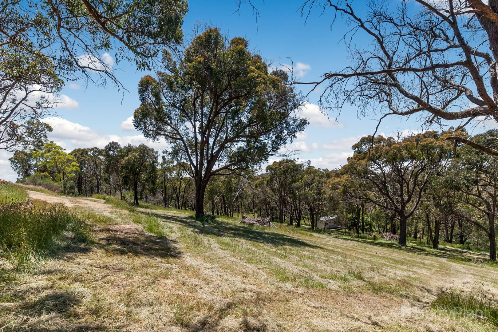 7 Sir Leo Curtis Drive, Wandong, VIC 3758, Wandong - Thumbnail 4