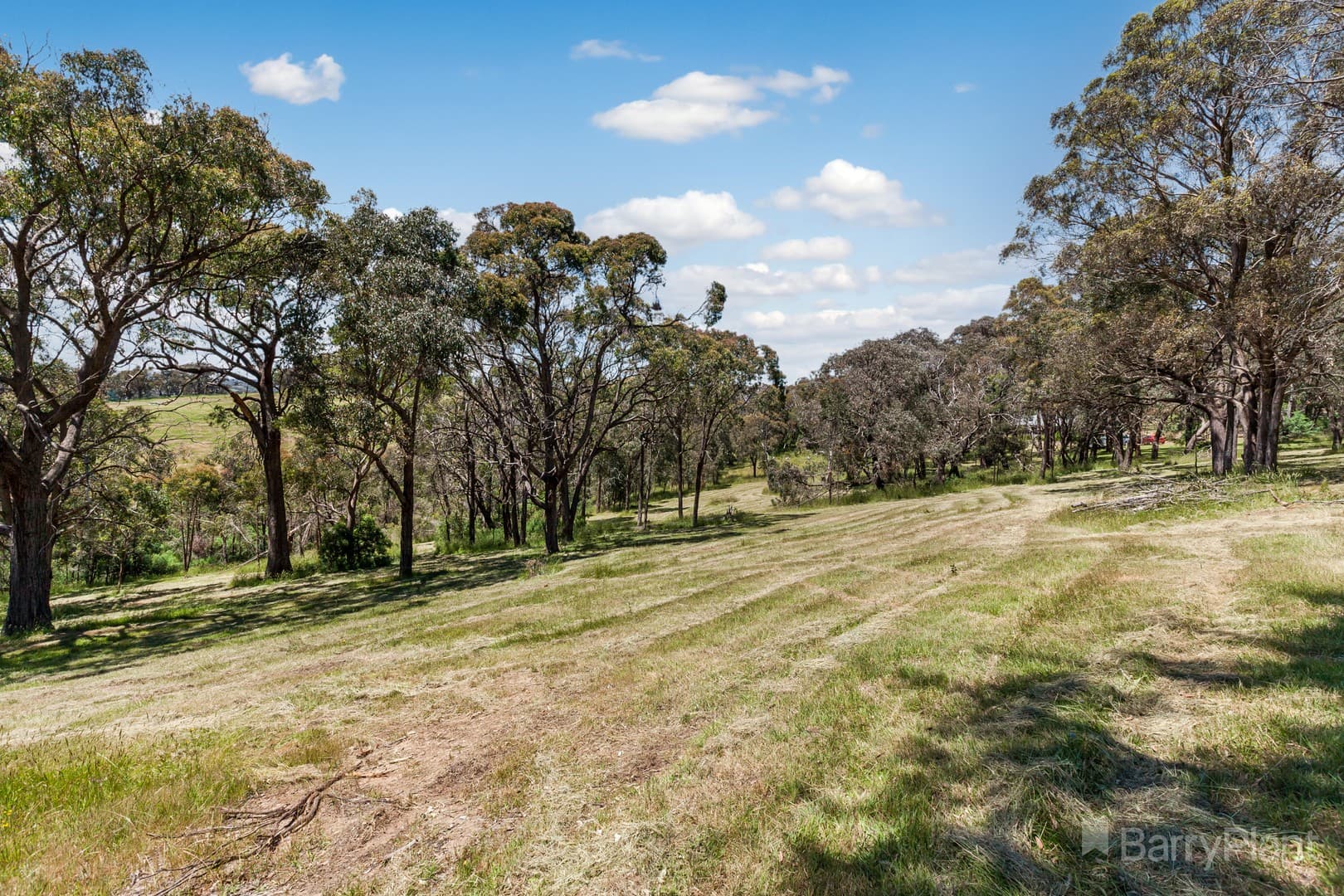 7 Sir Leo Curtis Drive, Wandong, VIC 3758, Wandong - Thumbnail 5