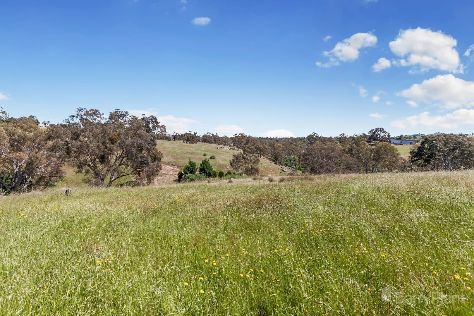 9 Julia CourtPyalong, VIC 3521, Pyalong - Thumbnail 3