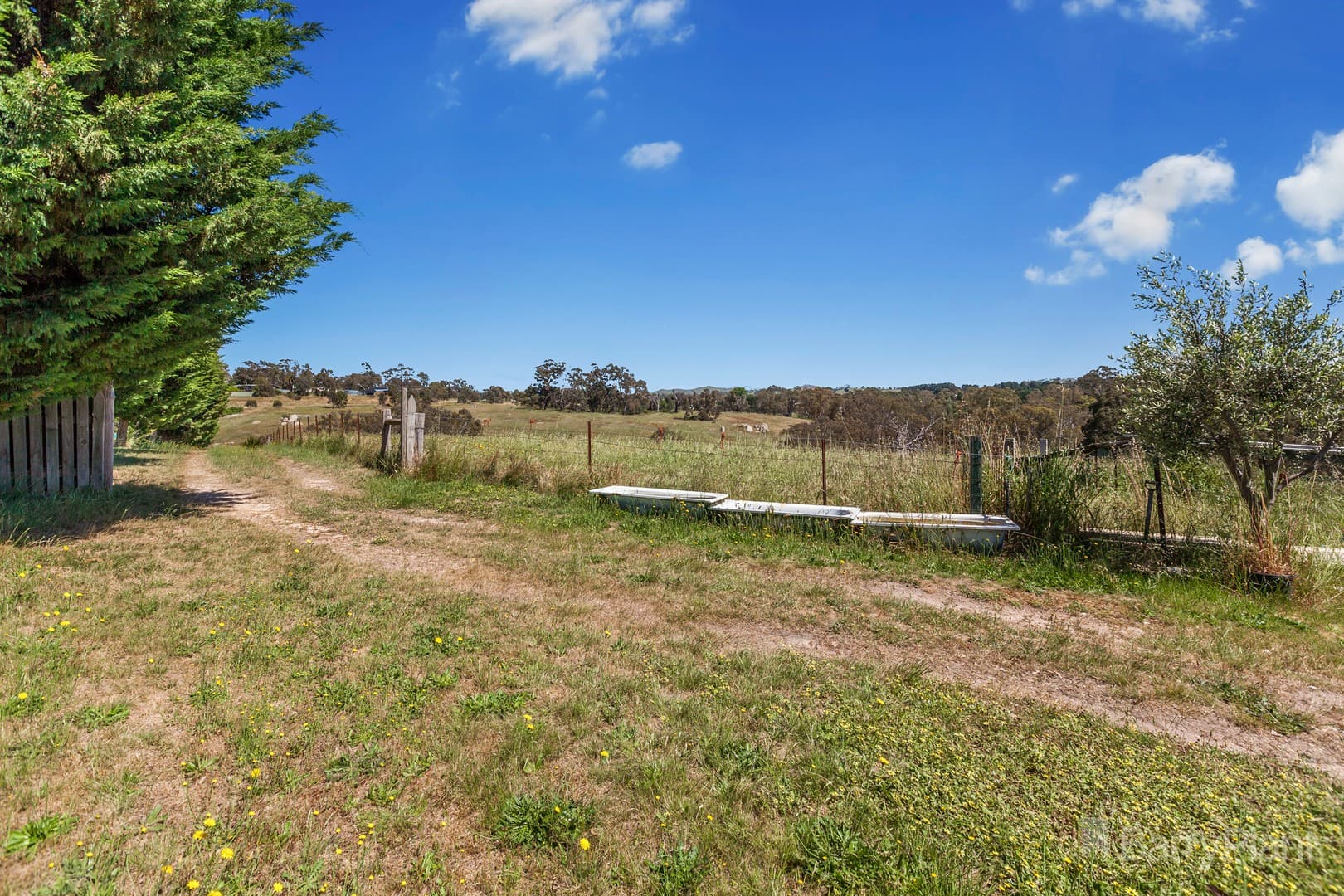 9 Julia CourtPyalong, VIC 3521, Pyalong - Thumbnail 4