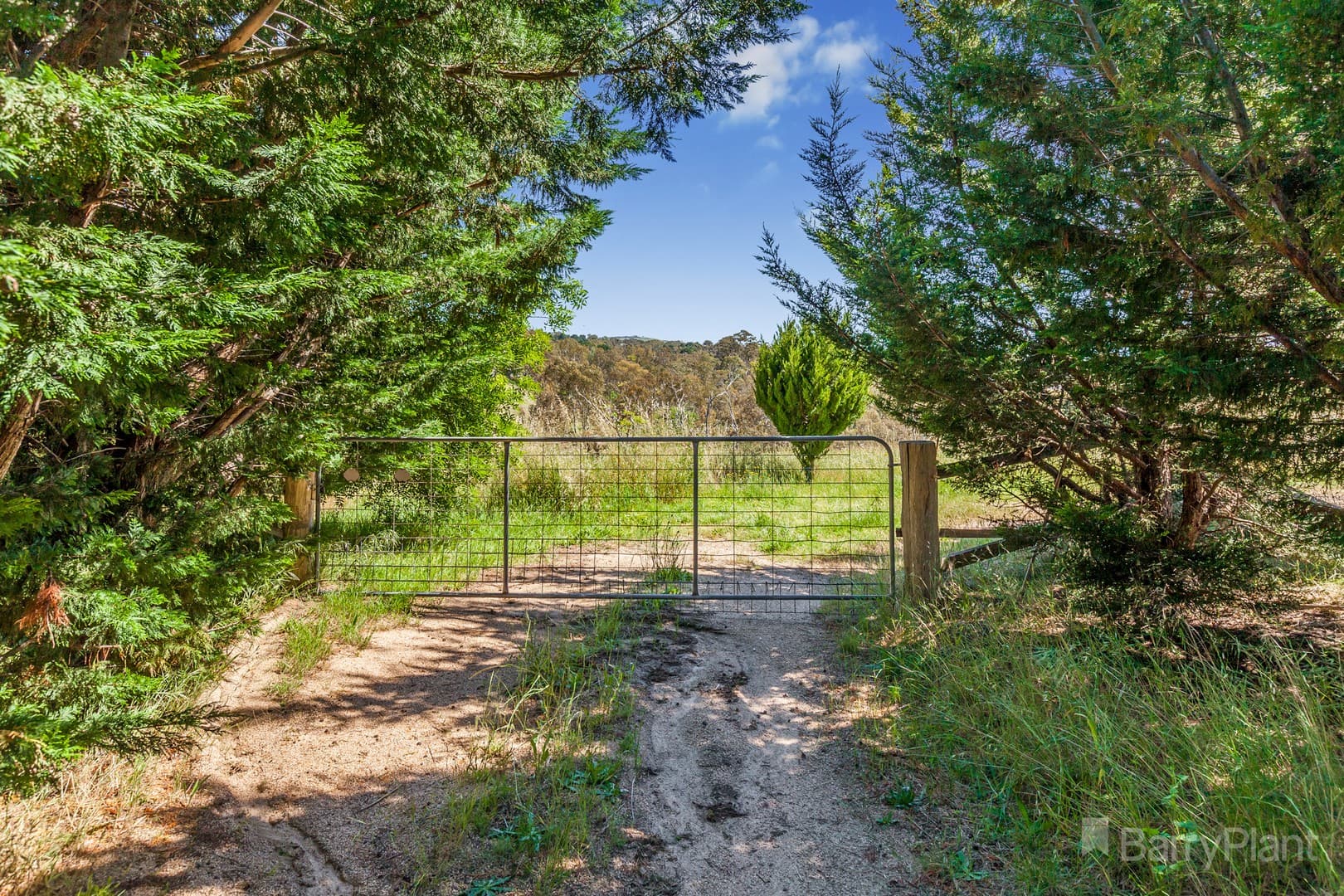 9 Julia CourtPyalong, VIC 3521, Pyalong - Thumbnail 5