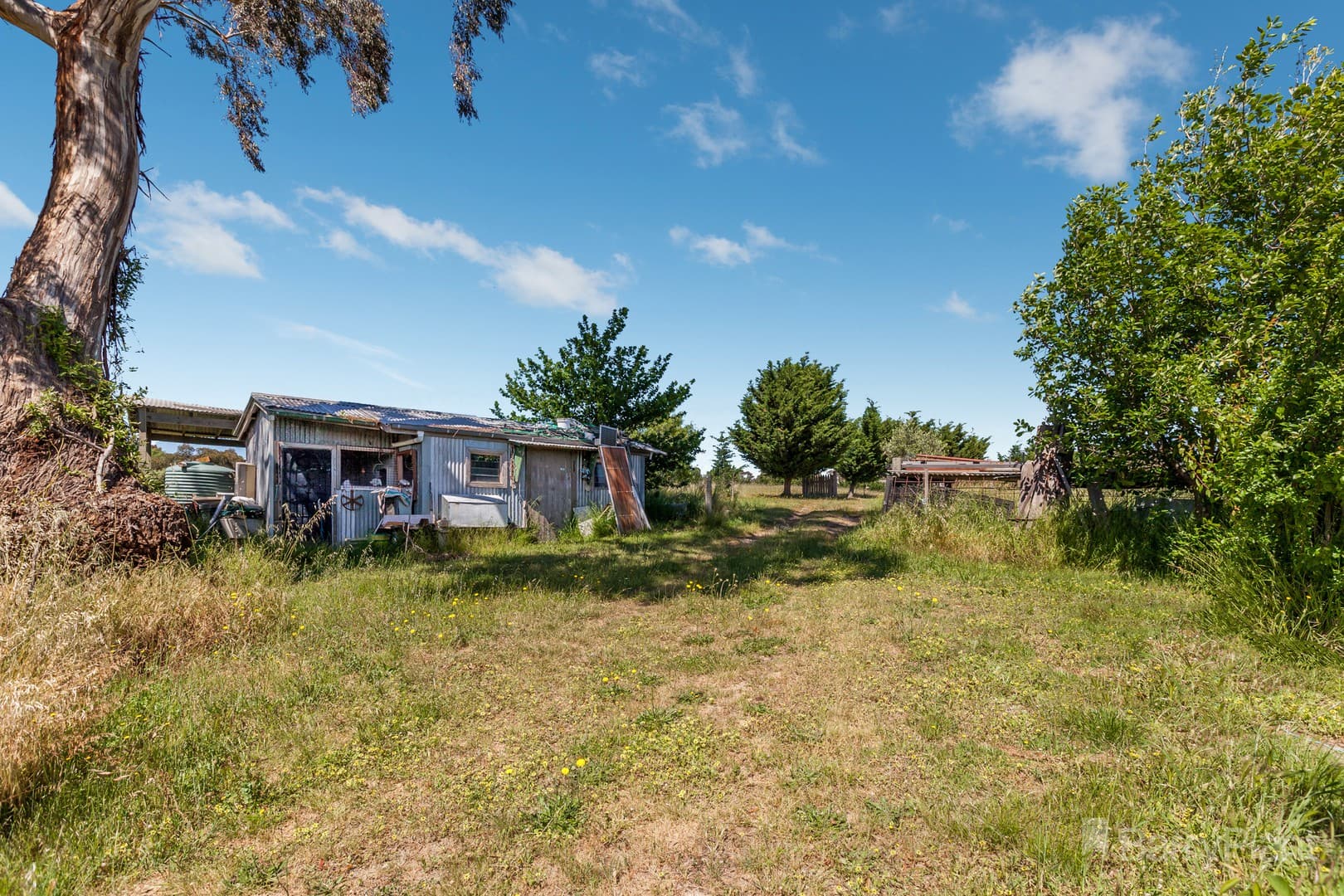 9 Julia CourtPyalong, VIC 3521, Pyalong - Thumbnail 6
