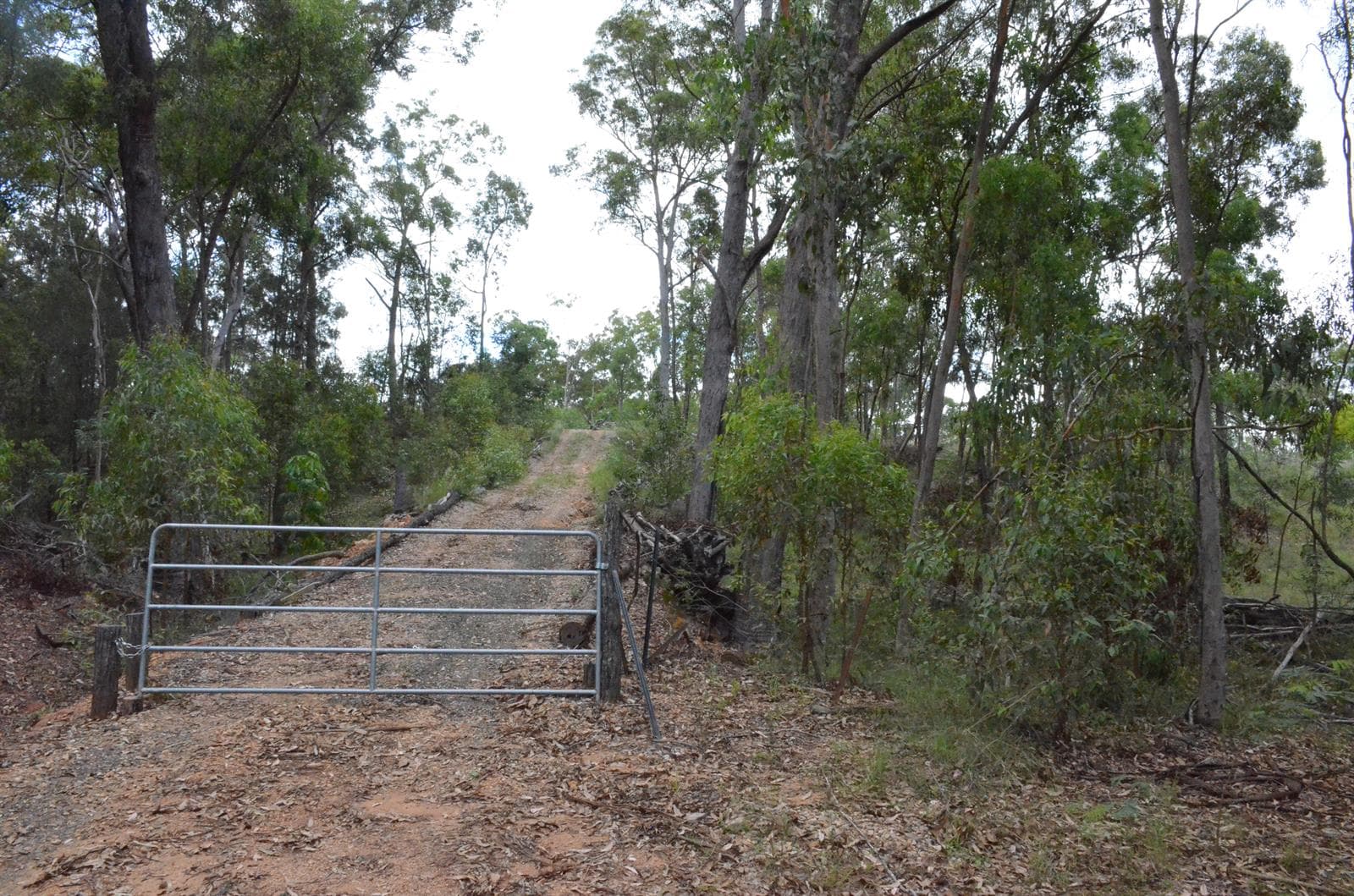 397 Wattle Camp Road WATTLE CAMP QLD 4615, Wattle Camp - Thumbnail 8