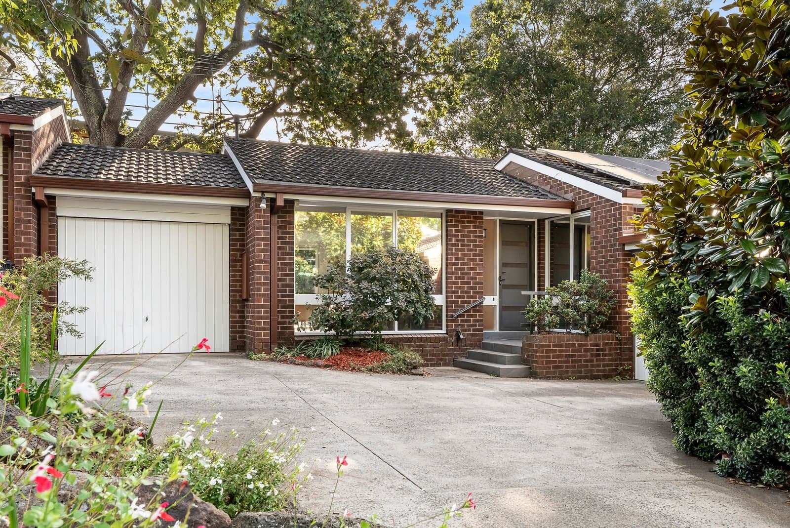 3/45 Wattle Valley Road, Canterbury - Image 1