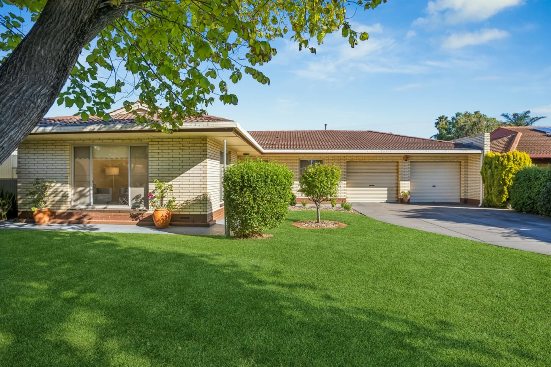 7 Hank Street, Lockleys, Lockleys - Image 1