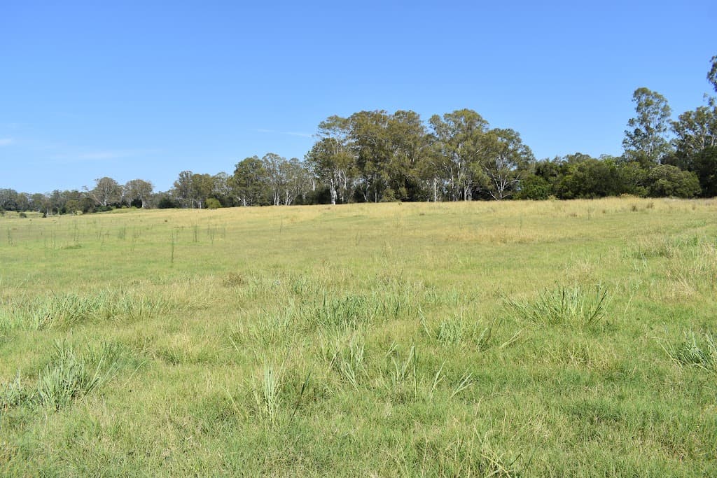 lot 103 Pidgeons Road, Tiaro, QLD, 4650, Tiaro - Thumbnail 7