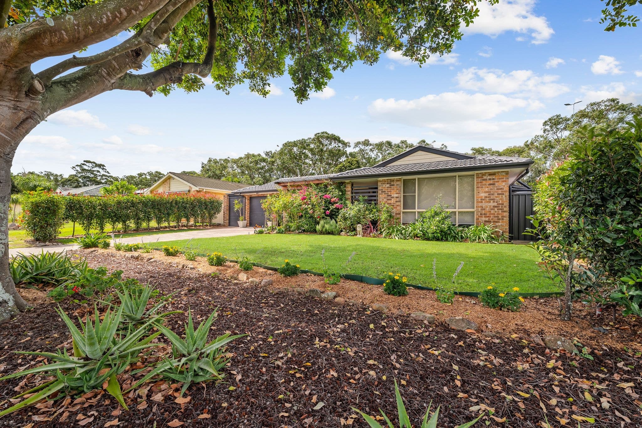 27 Hollydeen Avenue, Raymond Terrace NSW 2324, Raymond Terrace - Image 1