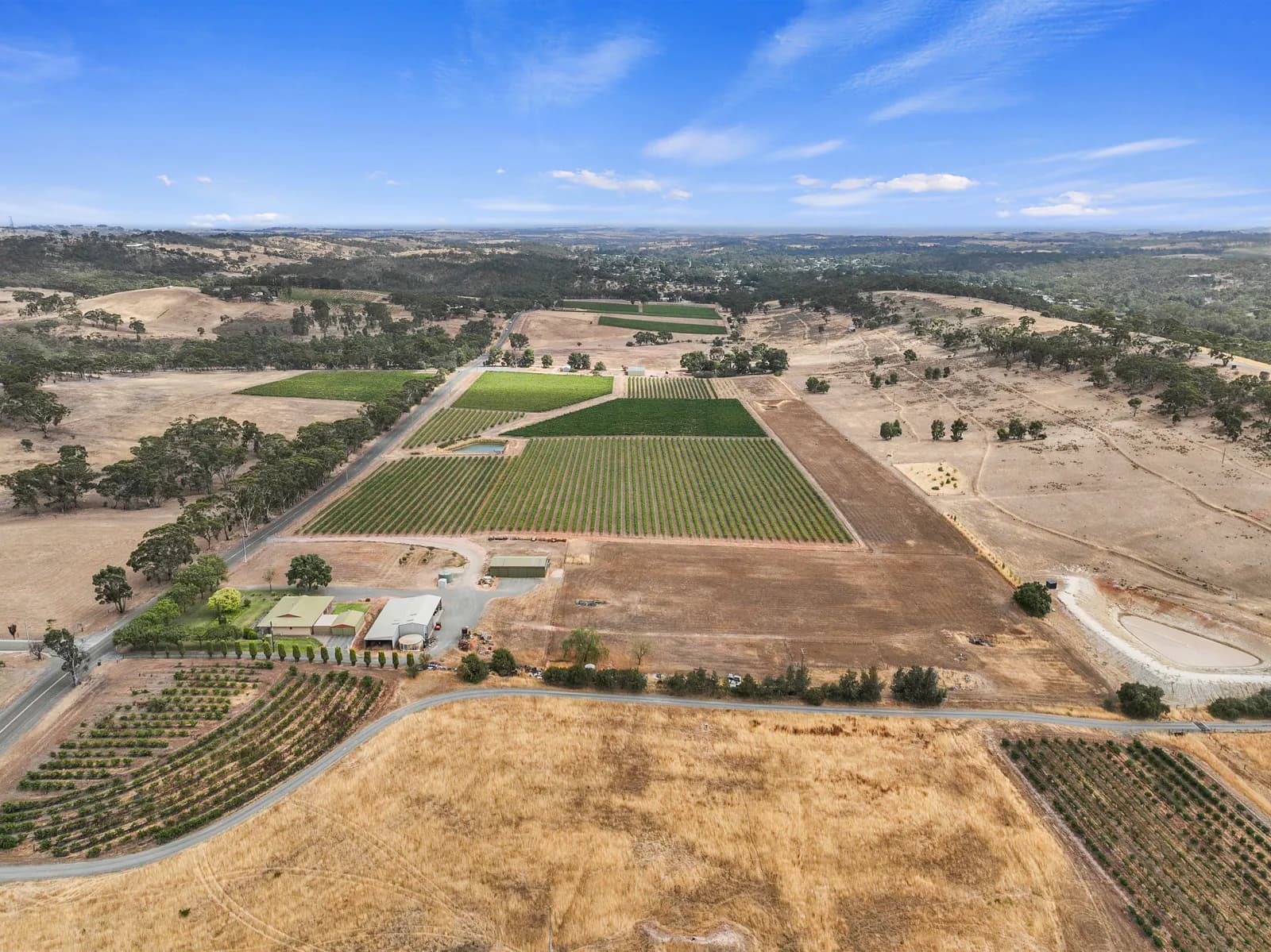 229 Neagles Rock Road, Clare, SA, 5453, Clare - Thumbnail 3