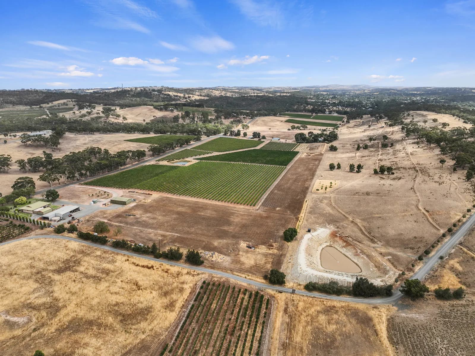 229 Neagles Rock Road, Clare, SA, 5453, Clare - Thumbnail 4