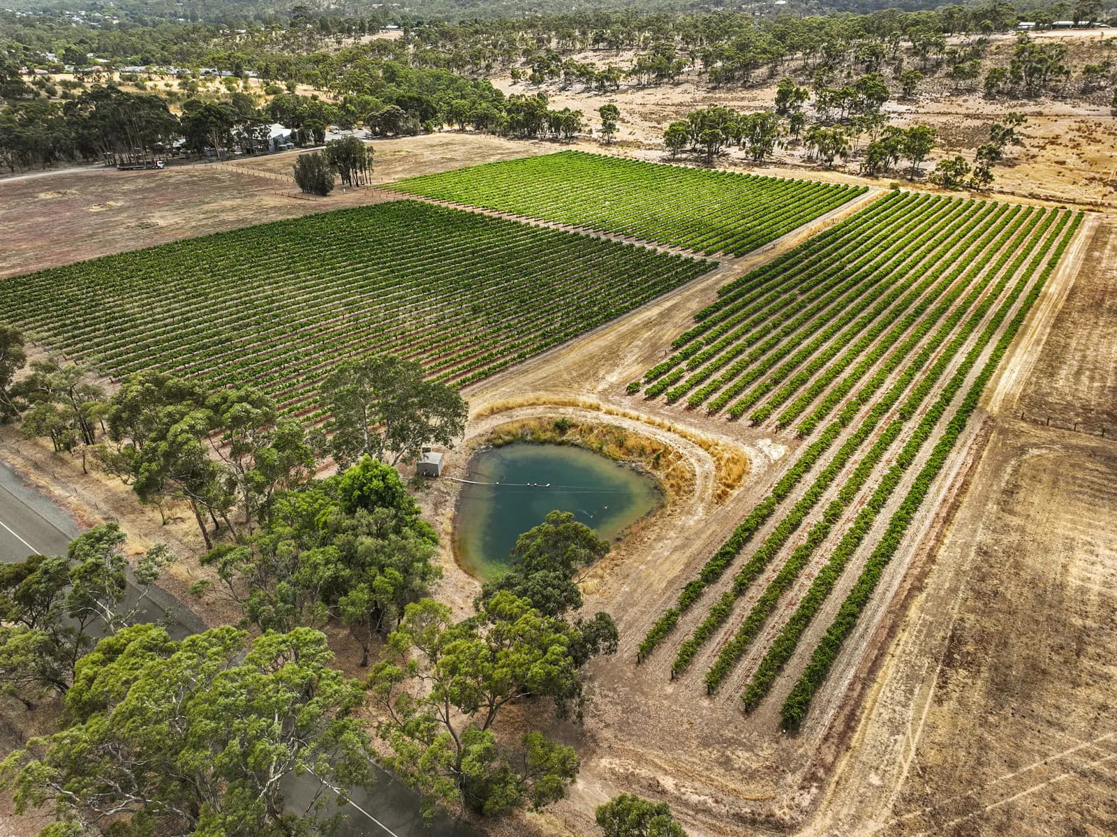 229 Neagles Rock Road, Clare, SA, 5453, Clare - Thumbnail 8