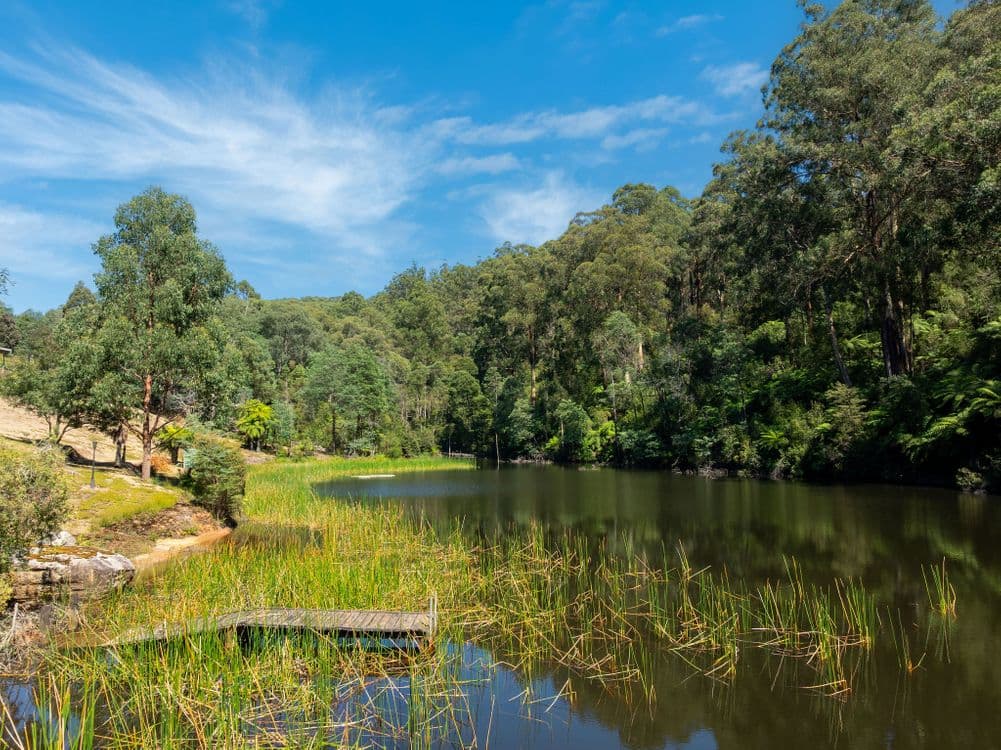 430 - 450 Hazeldene Road, GLADYSDALE, VIC 3797, Gladysdale - Thumbnail 7