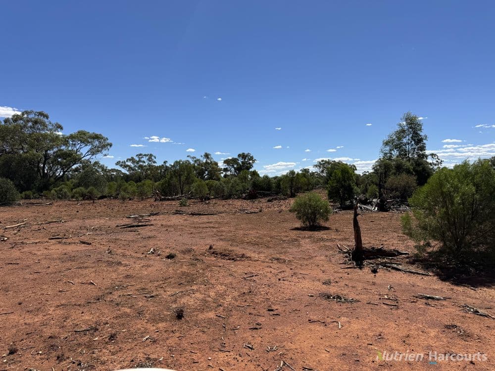 * Dutchmans Hutt, HERMIDALE, NSW 2831, Hermidale - Thumbnail 2