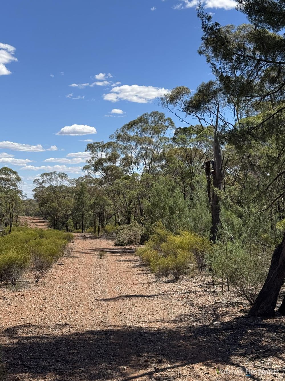 * Dutchmans Hutt, HERMIDALE, NSW 2831, Hermidale - Thumbnail 3