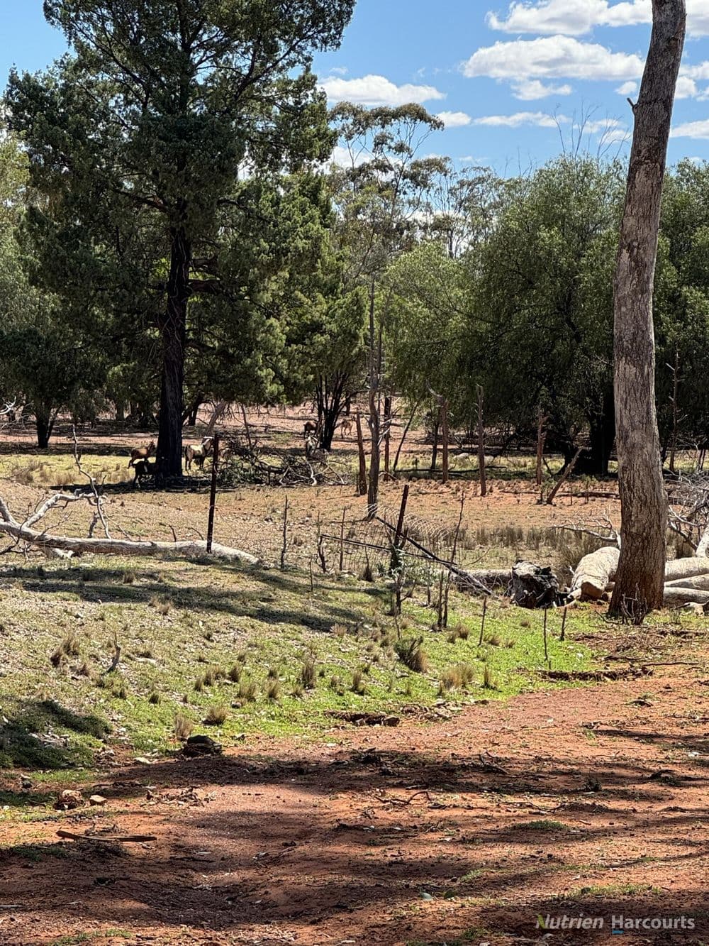 * Dutchmans Hutt, HERMIDALE, NSW 2831, Hermidale - Thumbnail 4