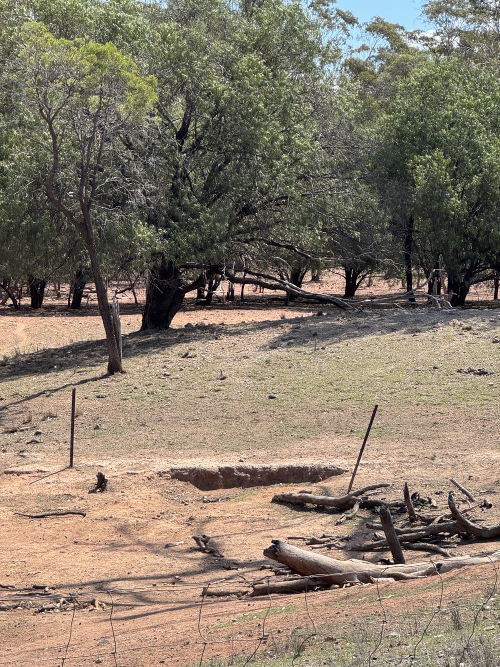 * Dutchmans Hutt, HERMIDALE, NSW 2831, Hermidale - Thumbnail 7