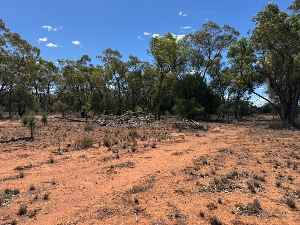 * Dutchmans Hutt, HERMIDALE, NSW 2831, Hermidale - Thumbnail 8