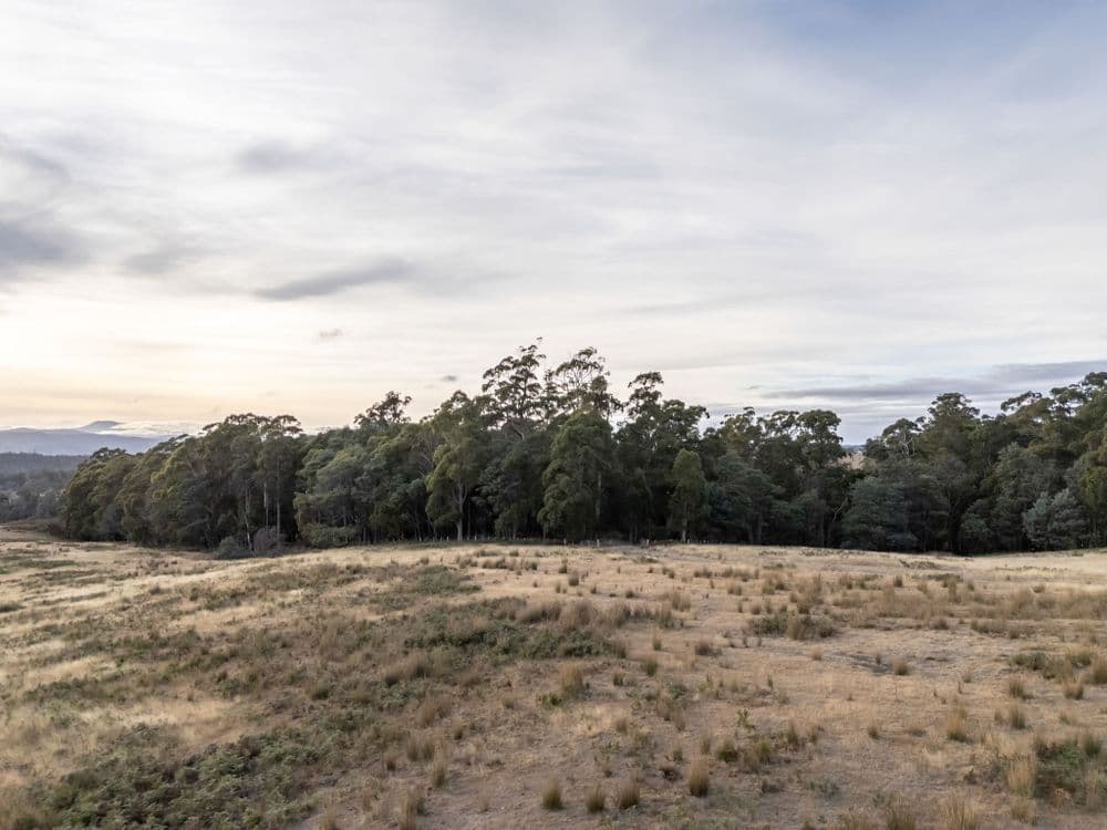 1 Glendale Road, SIDMOUTH, TAS 7270, Sidmouth - Image 1